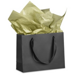 Ritz Paper Gift Bag