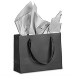 Ritz Paper Gift Bag