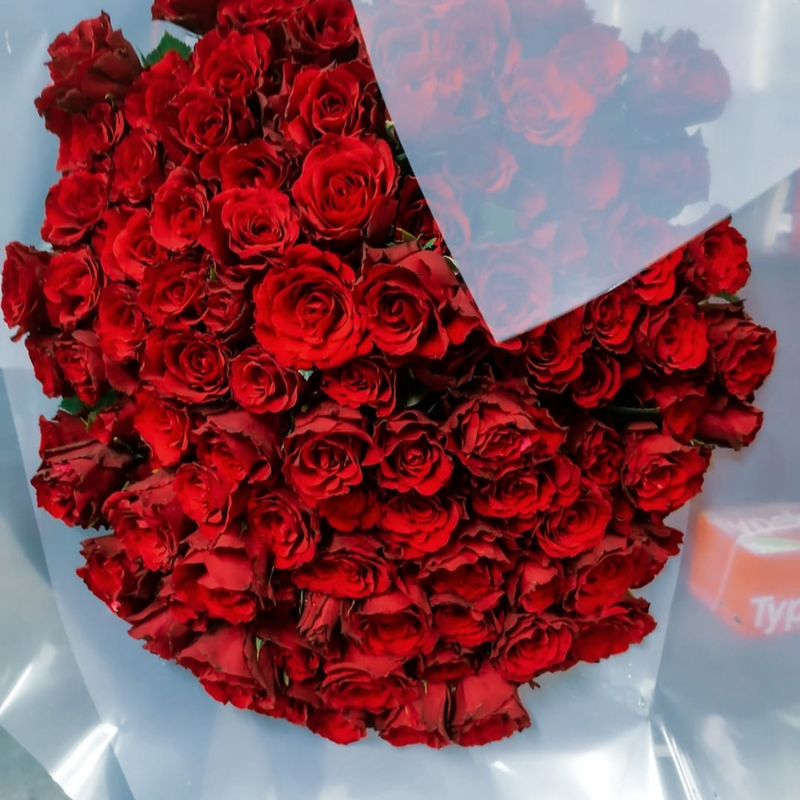 100 Roses - 100 Reasons to say I love you